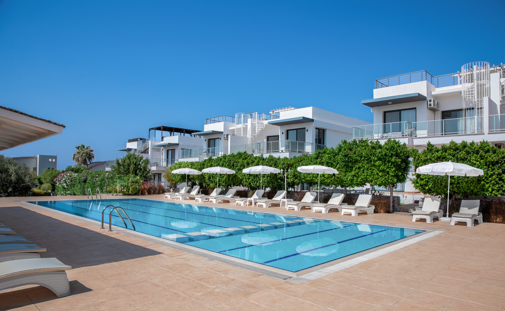 Infinity Pool